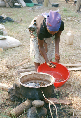 United Nations Assistance Mission for Rwanda (UNAMIR)