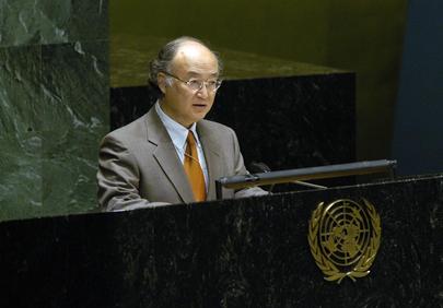 Report of the International Atomic Energy Agency