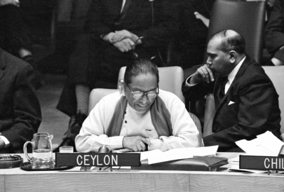 Security Council Continues Debate on Situation in the Congo