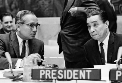 Security Council Fails to Adopt Resolution on Israel-Syria Issue