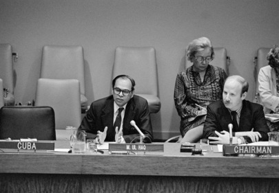 1981 Annual NGO Conference Continues