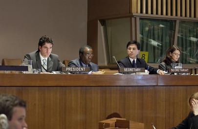 Assembly of States Parties to the Rome Statue of the International Criminal Court 
