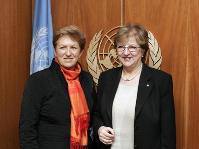 Deputy Secretary-General Meets With Austrian Minister for Health and Women