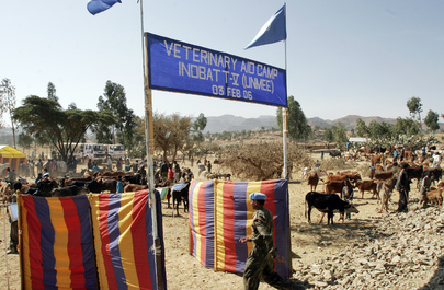 United Nations Mission Provides Services to Local Population