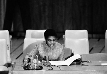 Special Committee on Policies of Apartheid Resumes Meetings