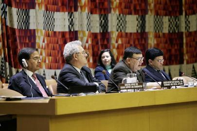 Economic and Social Council President Opens Meeting on Employment and Development