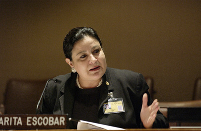 Salvadoreans Living Abroad Vice-Minister of Foreign Affairs Addresses Meeting