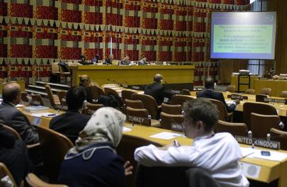 Economic and Social Council Members Briefed on International Narcotics Control Board Activities