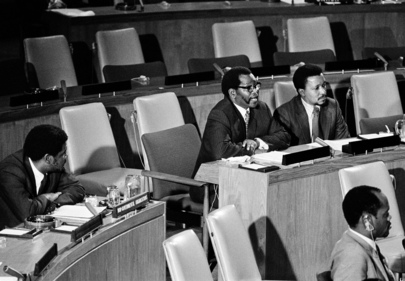 Apartheid Committee Begins Annual Special Session