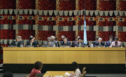 Economic and Social Council President Addresses High-level Meeting