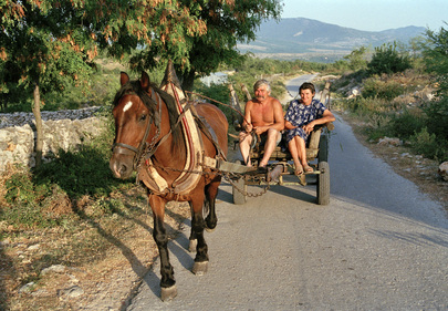 United Nations Protection Force in Croatia and Bosnia and Herzegovina