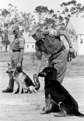 United Nations Peacekeeping Force in Cyprus (UNFICYP)