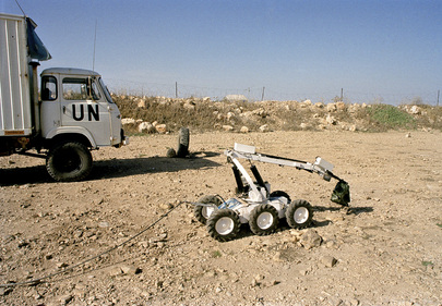 United Nations Interim Force in Lebanon (UNIFIL)