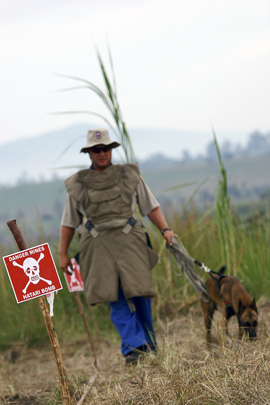 Landmine Clearing Efforts in Democratic Republic of the Congo