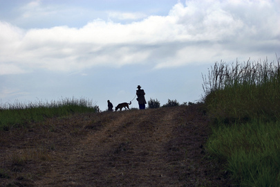 Demining Efforts in Democratic Republic of Congo