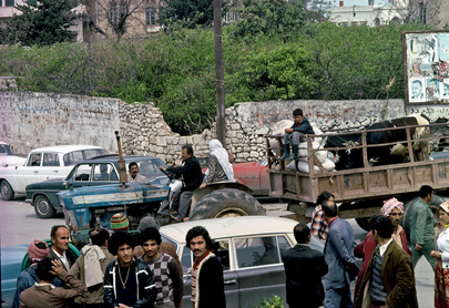 United Nations Interim Force in Lebanon