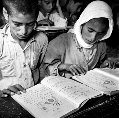 The Palestine Refugees