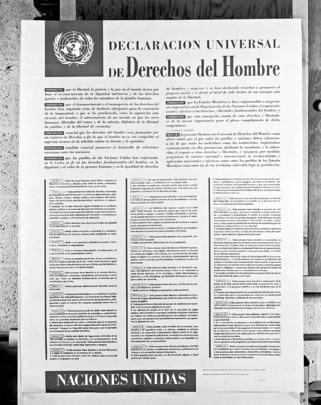 Poster Depicting Universal Declaration of Human Rights -- Spanish Version