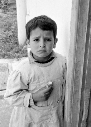 Palestine Arab Refugees in Lebanon