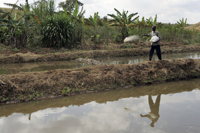 Fish Farming in Tanzania