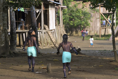 Internally Displaced Indigenous in Colombia