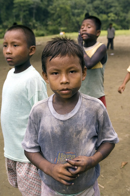 Internally Displaced Indigenous in Colombia
