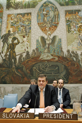 Security Council Discusses Weapons of Mass Destruction