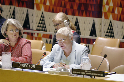 Economic and Social Council Holds Meeting on Resources Mobilization for Poverty Reduction