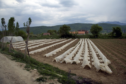 Scenes From Kosovo