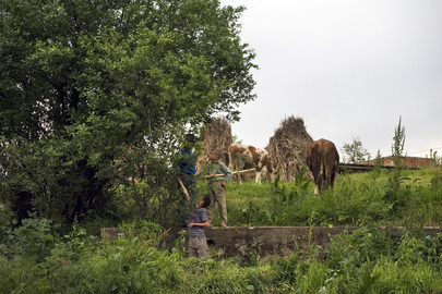 Scenes From Kosovo