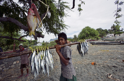 Timor-Leste Fishermen