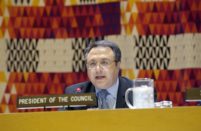 Substantive session of the Economic and Social Council on Coordination of the policies