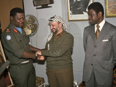 Interim Commander of UNIFIL Meets With Chairman of the Executive Committee of the PLO