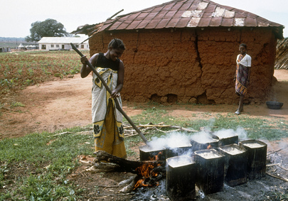 Farming for Development: Rural Farmers in Tanzania