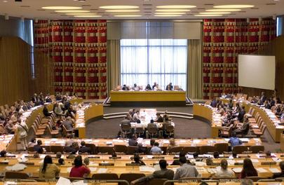 Economic and Social Council Considers Regional Cooperation, Information Technologies and Tobacco