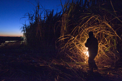 Sugar Cane Employee Burns Field in Brazil