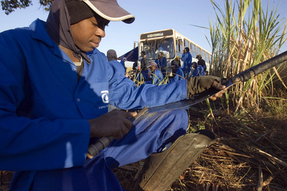 Brazilian Worker