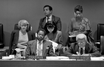 Fourth Committee in Session