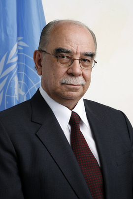 Economic and Social Council President