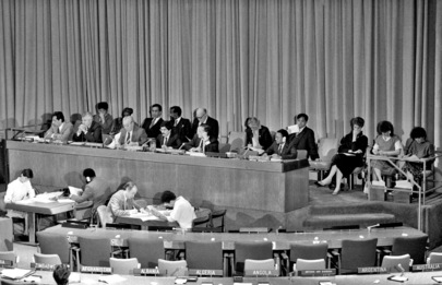 Special Political Committee Holds Hearing on South Africa's Apartheid Policy