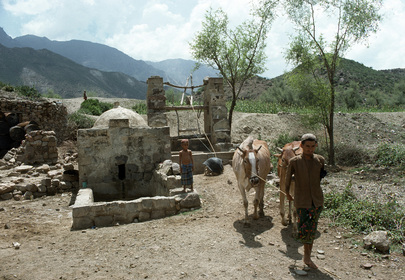 Farming for Development: Agriculture in Yemen