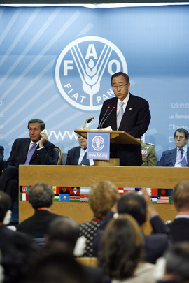 Secretary-General Addresses Global Food Security Summit 