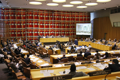 2008 ECOSOC High-Level Segment Ministerial Review