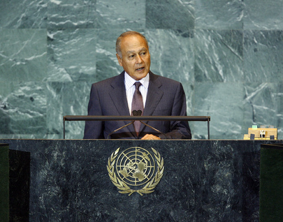 Foreign Minister of Egypt Addresses General Assembly