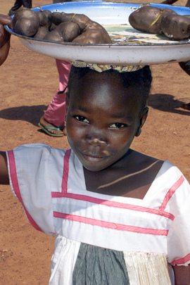 The Central African Republic