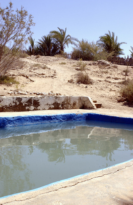 Western Sahara