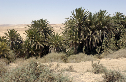 Western Sahara