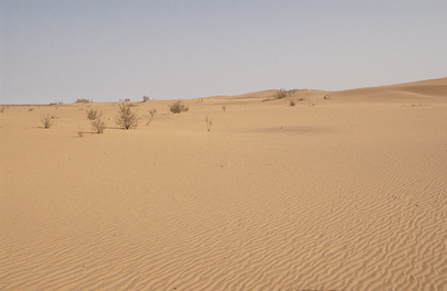 Western Sahara