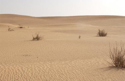 Western Sahara