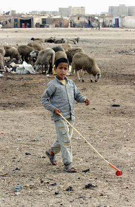 Western Sahara